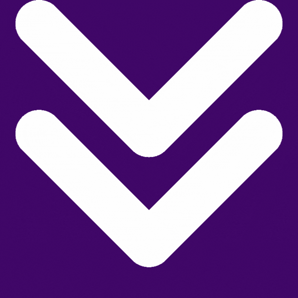 Links SoftVenix Enterprise